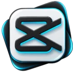 capcut icon best seo expert in kasaragod